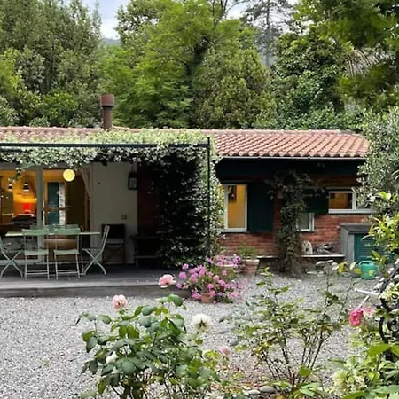 Lo Sceriffo Delightful In Dreamy Garden