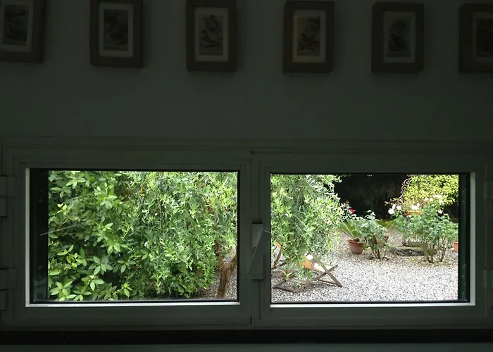 Lo Sceriffo Delightful In Dreamy Garden Ac * Monterosso al Mare