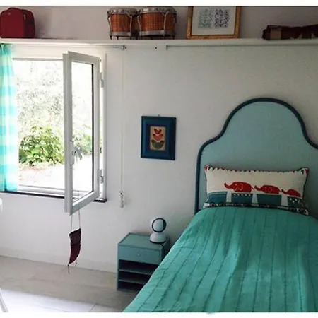 Villa Lo Sceriffo Delightful In Dreamy Garden Monterosso al Mare