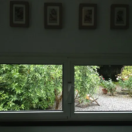 Lo Sceriffo Delightful In Dreamy Garden * Monterosso al Mare