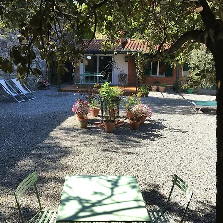 Lo Sceriffo Delightful In Dreamy Garden *