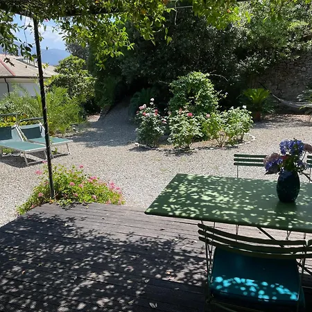 Lo Sceriffo Delightful In Dreamy Garden